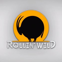 Rollin’Wild 圓滾滾野生動物