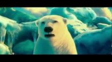 【北極熊 Polar Bears 】【Yao】