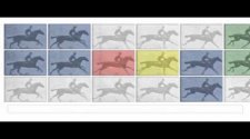 【Google Doodle - Eadweard J. Muybridge】【Way】